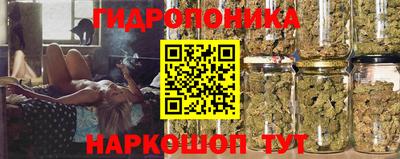 мяу мяу мука Нарткала