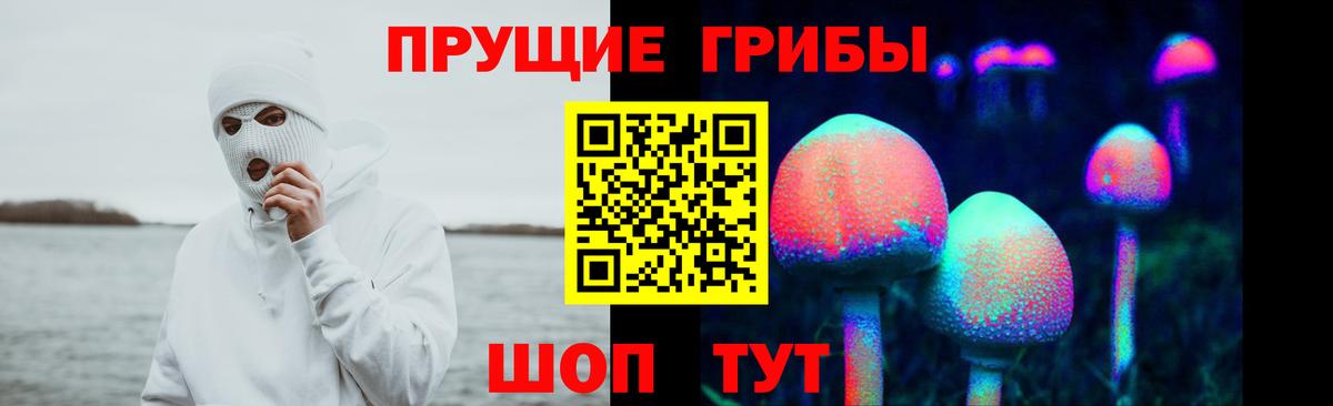 Псилоцибиновые грибы Magic Shrooms  Вход с VPN  Псилоцибиновые грибы Psilocybe  Нурлат 